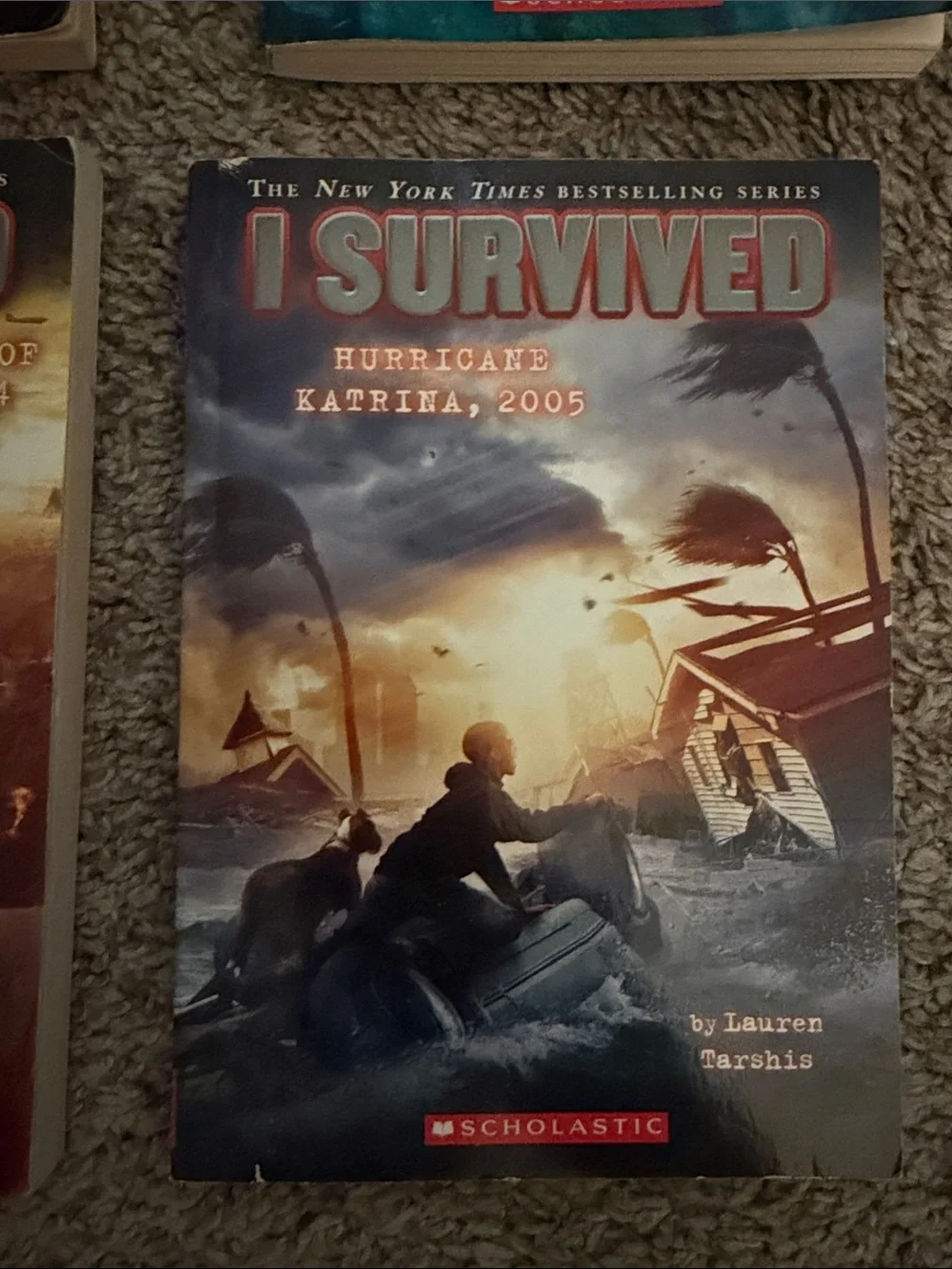 I Survived Graphic Novel Set by Scholastic - Assorted Blue, Red, Brown Covers